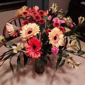 Meet your Posher, Brandy